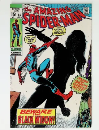 Amazing Spider-Man  #419 - Image 0